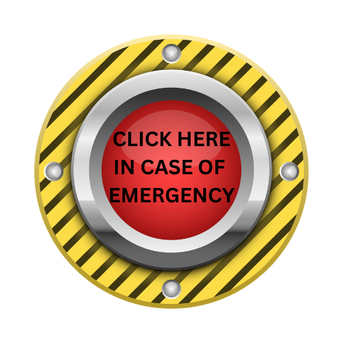 Emergency Button